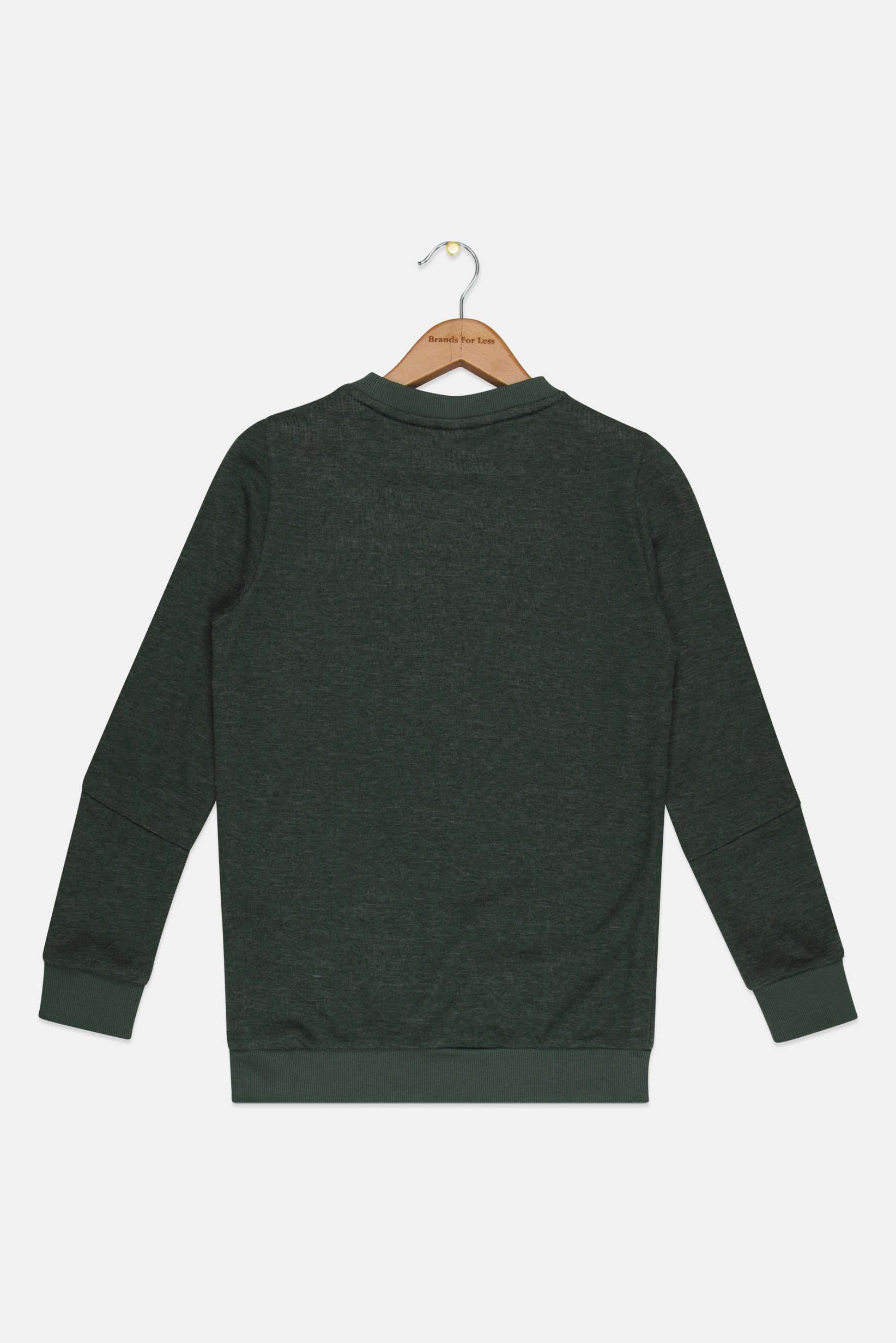 Kids Boy Sportswear Fit Long Sleeve Outdoor Sweatshirt, Green