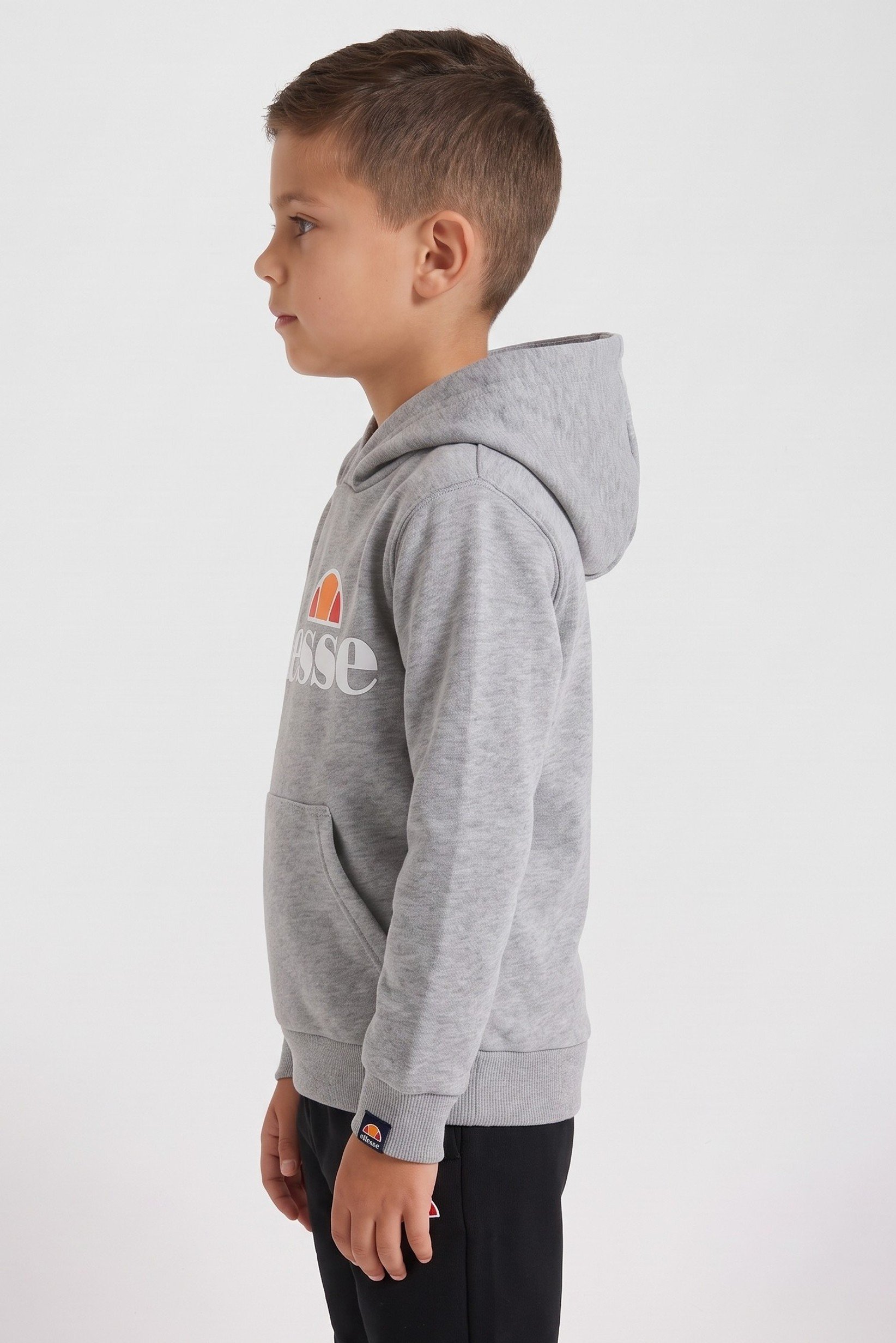 Toddlers Boy Brand Logo Hooded Sweatshirt, Heather Grey