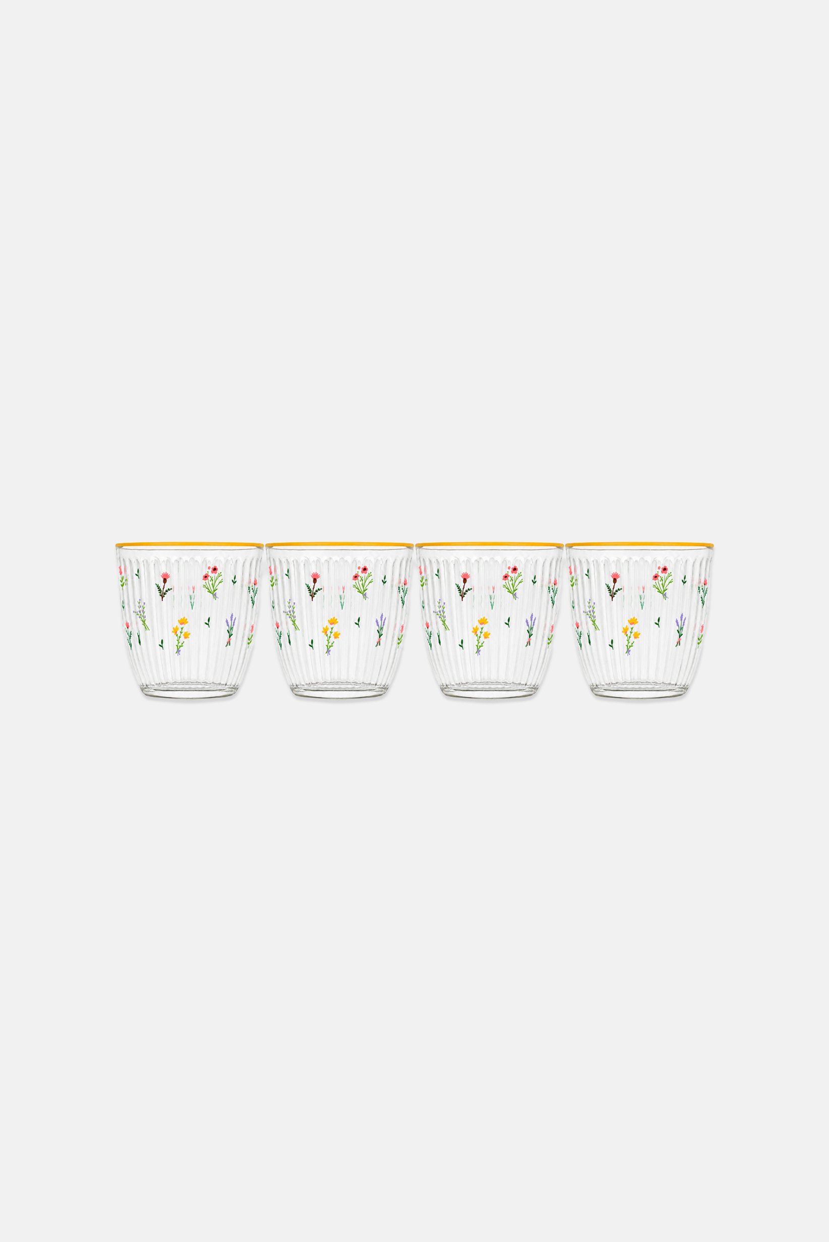Botanical 4-Piece Tumbler Set 290 ml, Transparent