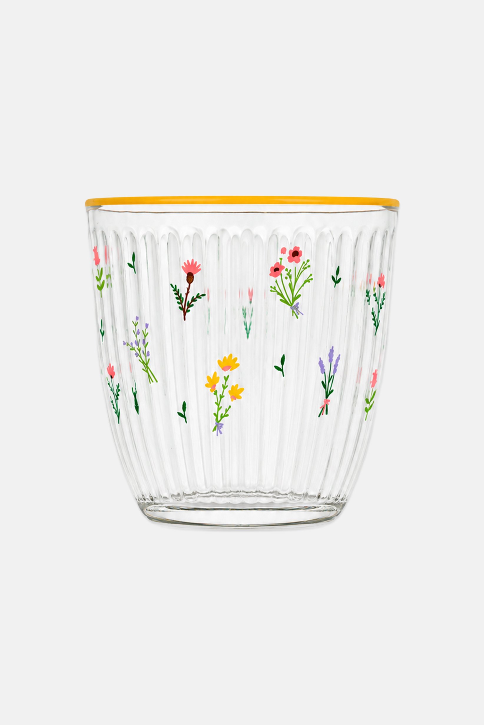 Botanical 4-Piece Tumbler Set 290 ml, Transparent