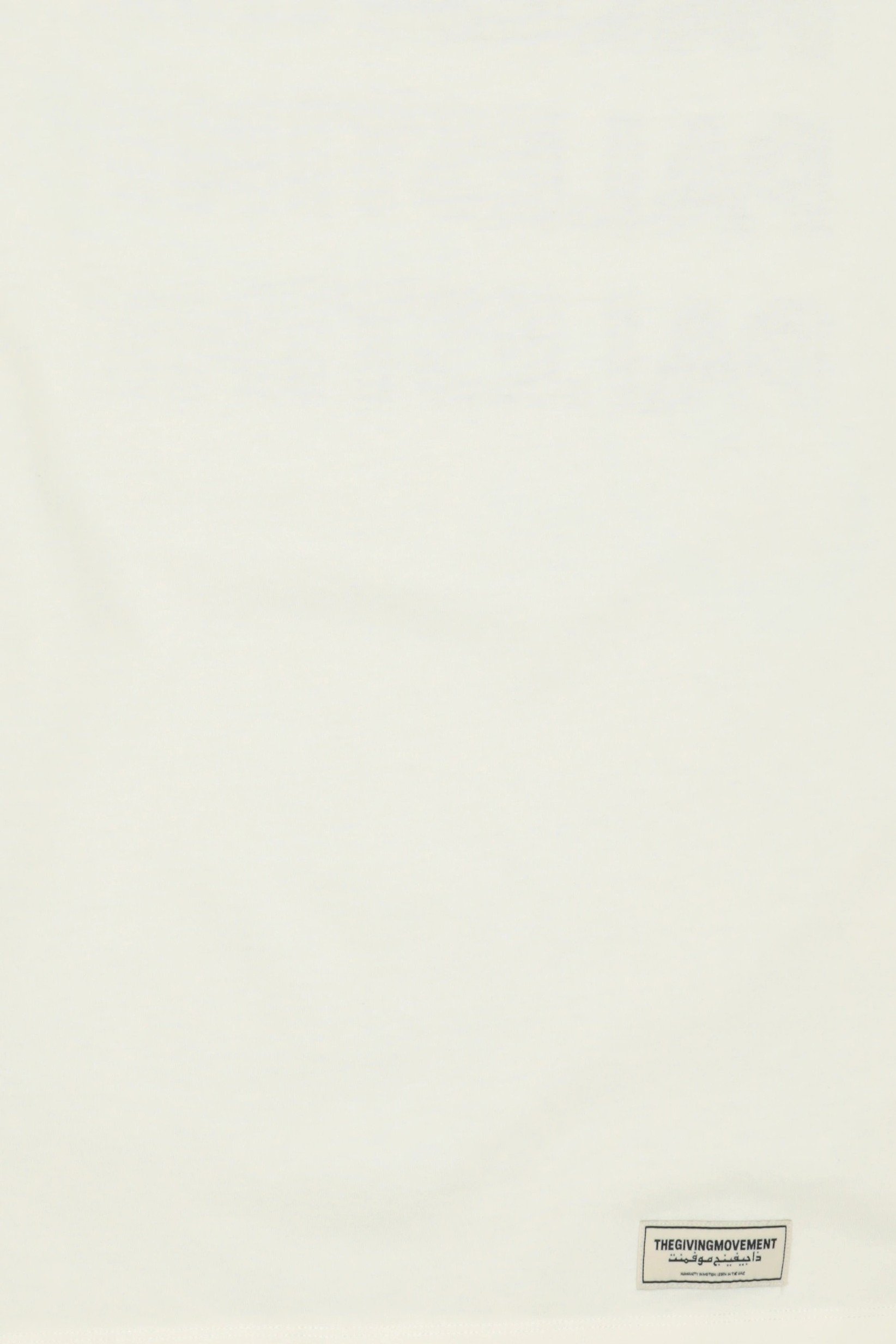 Men Oversized Fit  Short Sleeve Graphic Print T-Shirt, Ivory