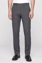 Men Slim Fit Solid Dress Pants, Grey