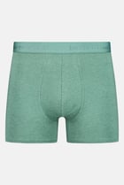 Men Embroidered Pull On Boxer, Heather Green