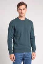 Men Round Neck Textured Sweater, Green