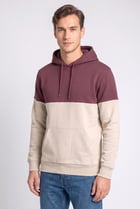 Men Two Tone Long Sleeve Hoodie, Multicolor
