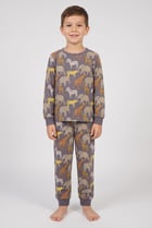 Toddlers Boy 2 Pieces Long Sleeve Allover Print Top And Bottom Pajama Set, Multicolor