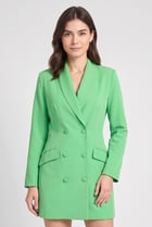Women Solid Blazer Dress, Green