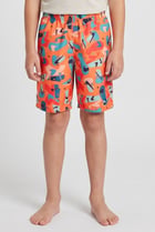 Kids Boy Allover Print Broad Shorts, Multicolor