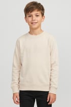 Kids Boys Brand Logo Long Sleeve Sweatshirt, Beige