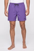Men Brand Logo 16 Inseam Board Shorts, Purple
