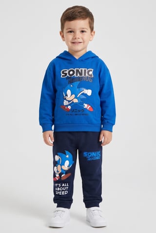 Toddlers Boy 2 Pieces Graphic Print Long Sleeve Hoodie And Jogger Set, Multicolor