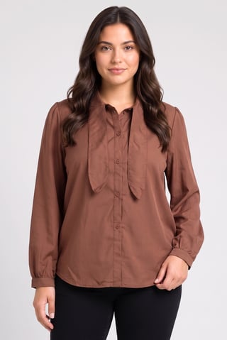 Women Tie Neck Long Sleeve Solid Shirt, Brown