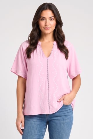 Women V-Neck Short Sleeve Embroidered Blouse, Multicolor