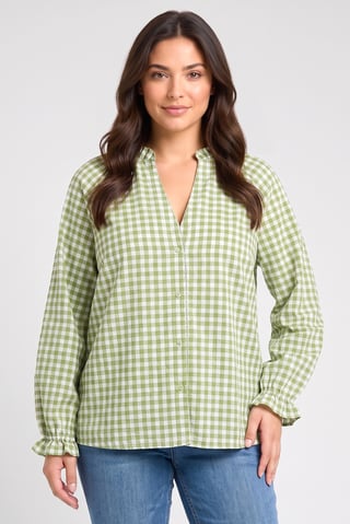 Women V-Neck Long Sleeve Gingham Print Blouse, Multicolor