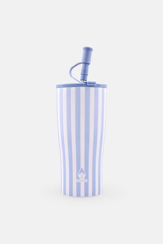 Insulated Stainless Steel Tumbler, Multicolor
