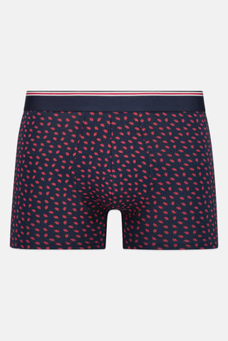 Men Allover Print Boxer Brief, Multicolor