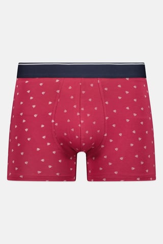Men 1 Piece Allover Print Boxer, Multicolor