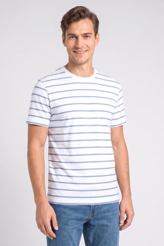 Men Crew Neck Short Sleeve Stripe T Shirt, Multicolor