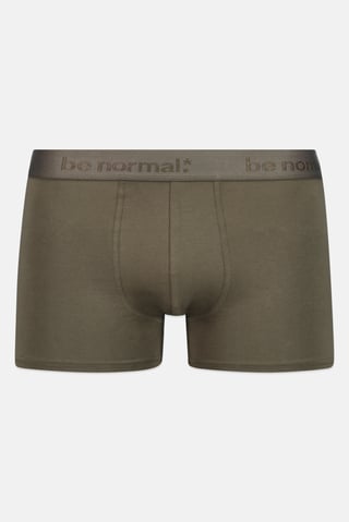 Men Solid Boxer Brief, Green