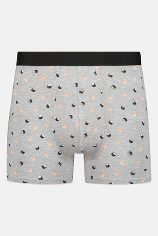 Men Allover Print Boxer Brief, Multicolor