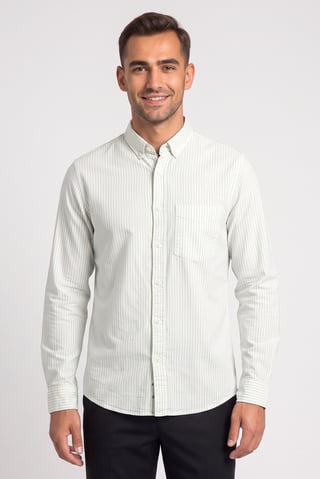 Men Regular Fit Stripe Long Sleeve Casual Shirt, Multicolor