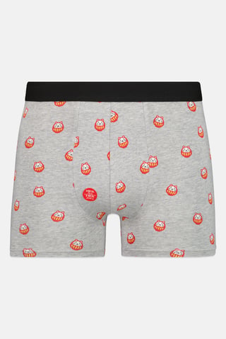 Men Graphic Print Boxer Brief, Multicolor