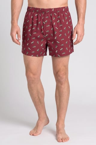 Men Allover Print Pull On Boxer Shorts, Multicolor