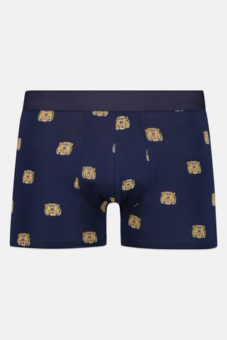 Men Allover Print Pull On Boxer, Multicolor
