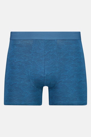 Men Allover Print Boxer Brief, Multicolor