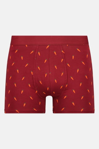 Men Allover Print Pull On Boxer, Multicolor