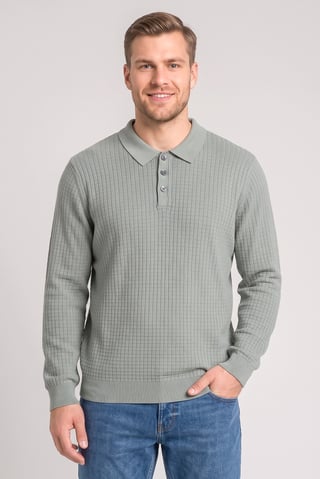 Men Regular Fit Textured Long Sleeve Polo Shirt, Sage Green