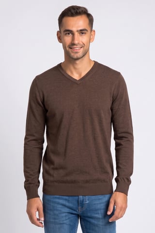 Men V-Neck Long Sleeve Plain Sweater, Coffee