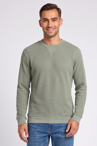 Men Crew Neck Textured Sweater, Sage Green