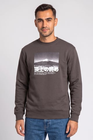 Men Crew Neck Graphic Print Long Sleeve Hoodie, Charcoal