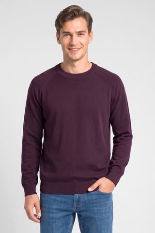 Men Crew Neck Knitted Sweater, Purple