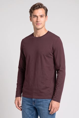 Men Crew Neck Long Sleeve Plain T-Shirt, Dark Brown