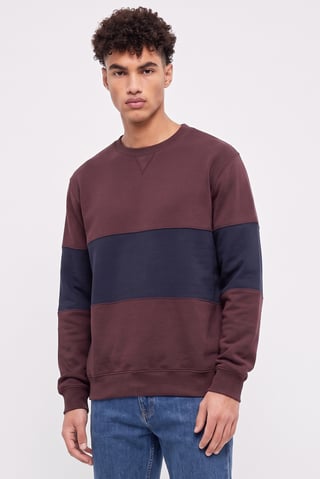 Men Crew Neck Two-Tone Long Sleeve Sweatshirt, Multicolor
