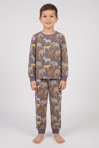 Toddlers Boy 2 Pieces Long Sleeve Allover Print Top And Bottom Pajama Set, Multicolor