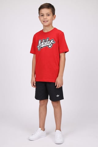 Kids Boy 2 Pieces Brand Logo T-Shirt And Shorts Set, Multicolor