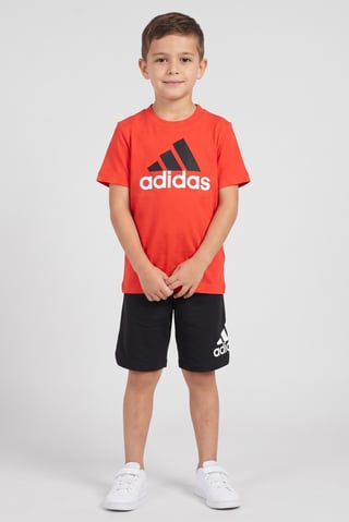 Kids Boy 2 Pieces Sportswear Fit Outdoor T-Shirt And Shorts Set, Multicolor