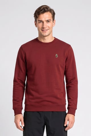 Men Sportswear Fit Long Sleeve Outdoor Sweatshirt, Maroon