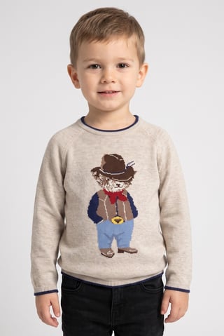 Toddlers Boy Long Sleeve Graphic Print Sweater, Beige