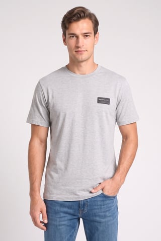 Men Crew Neck Short Sleeve Brand Logo T-Shirt, Light Grey