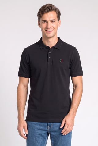 Men Regular Fit Embroidered Short Sleeve Polo Shirt, Black