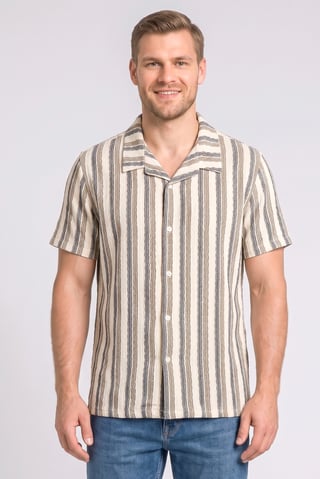 Men Regular Fit Stripe Short Sleeve Casual Shirt, Multicolor