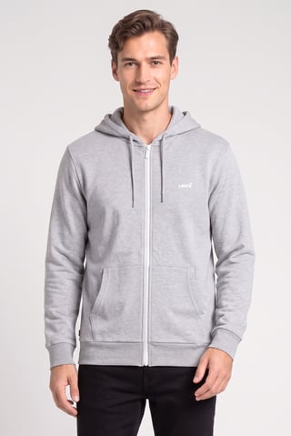 Men Full Zip  Long Sleeve Brand Logo Hoodie, Grey