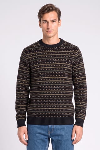 Men Crew Neck Knitted Sweater, Multicolor