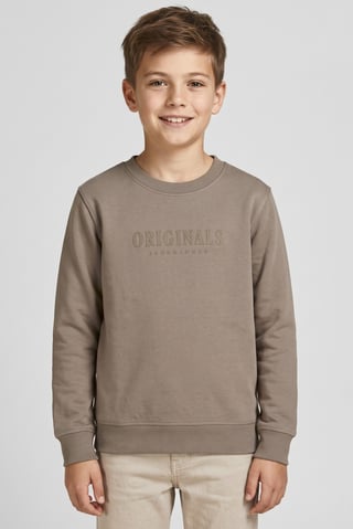 Kids Boy Graphic Printed  Long Sleeve Sweatshirt, Taupe