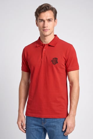 Sinsay x Harry Potter Men Regular Fit Graphic Print Short Sleeve Polo Shirt, Dark Red