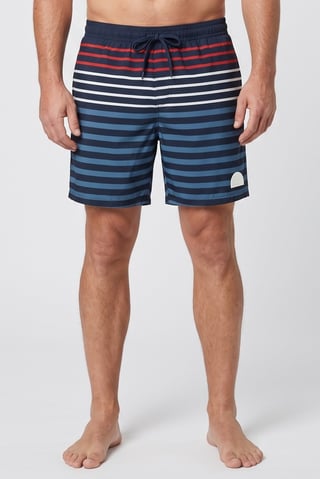 Men Stripe Board Shorts, Multicolor